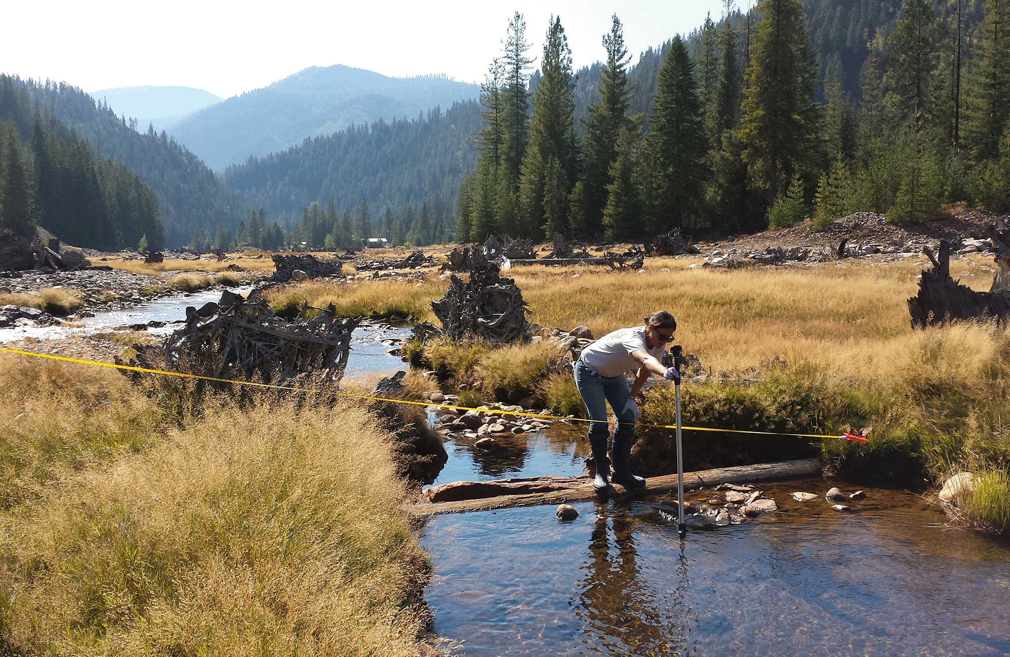 MFA employee conducting water sampling analysis at a site in Idaho.