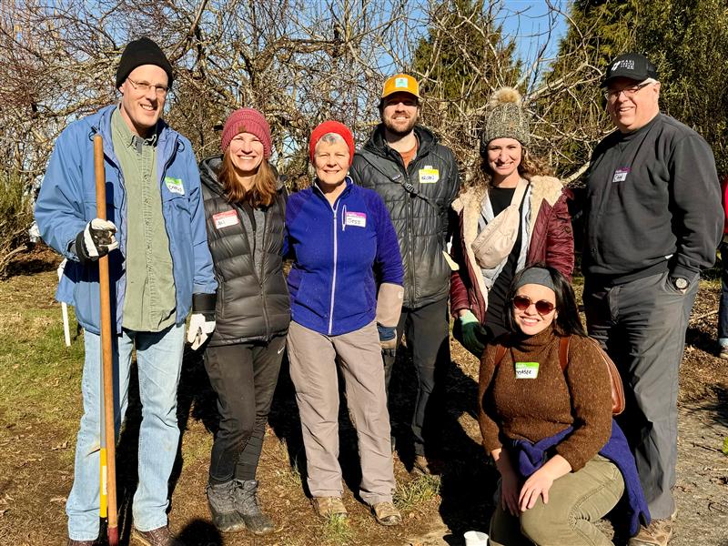 Team members volunteering